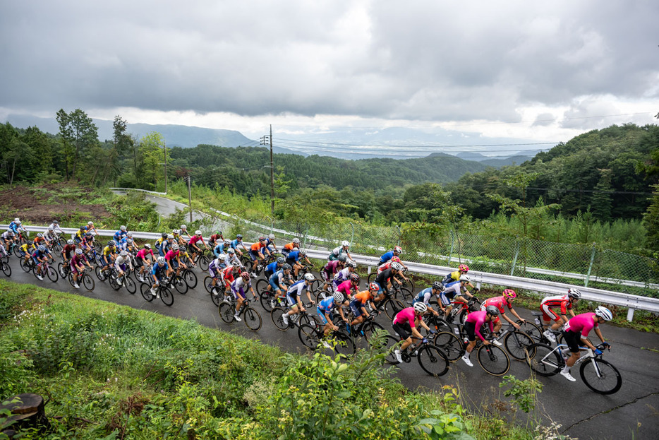 写真：Bicycle Club