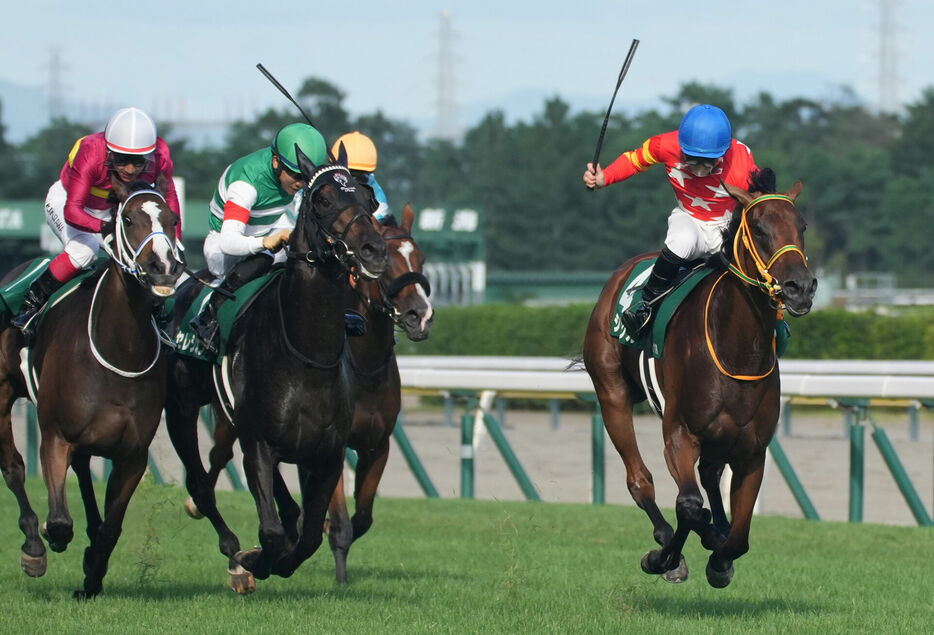 新潟競馬場・シンリョクカと木幡初也騎手 (C)スポニチ