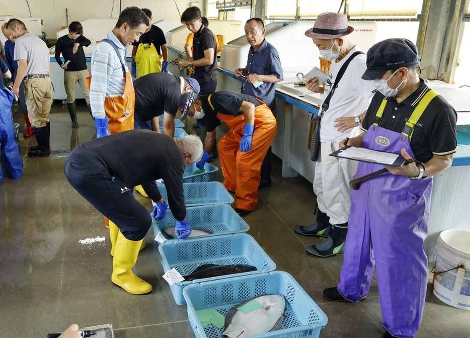 8月、競りに集まった漁業者や仲買人＝福島県いわき市