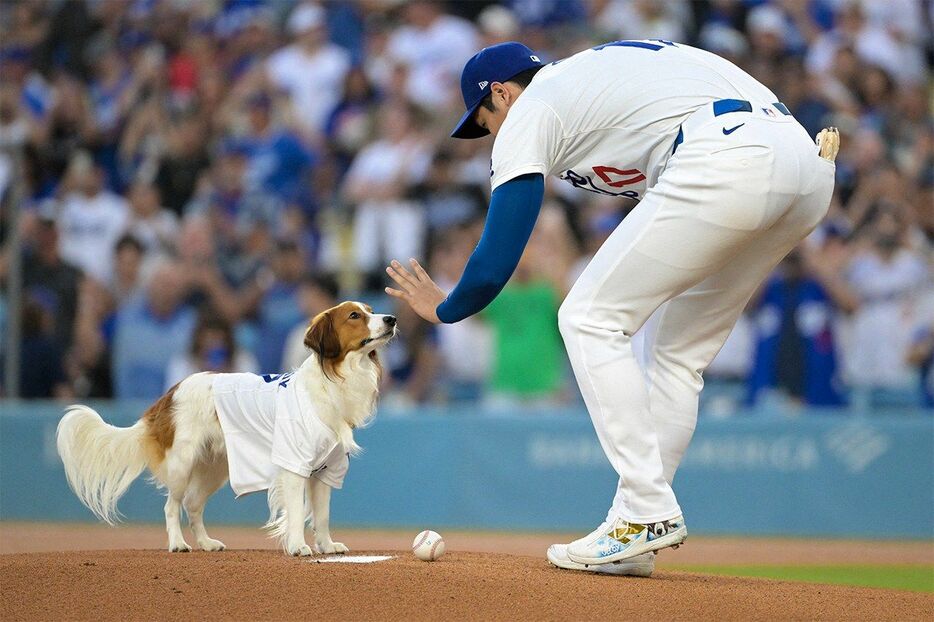 デコピン始球式（USA TODAY Sports via Reuters Connect）