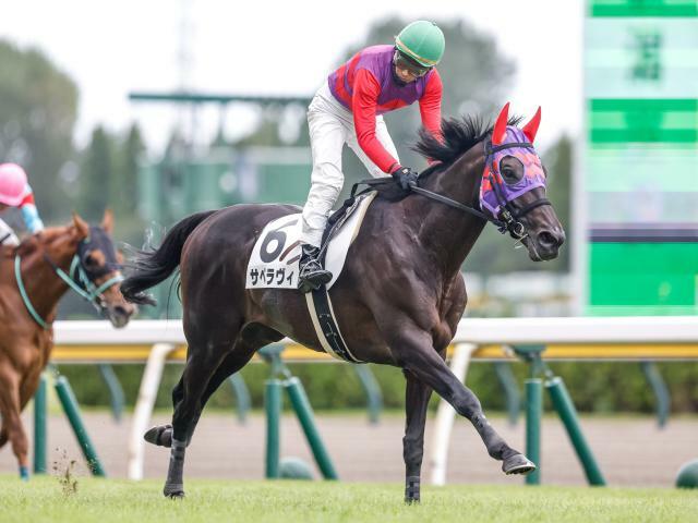 重賞初制覇狙うサペラヴィは1枠1番(撮影：下野雄規)