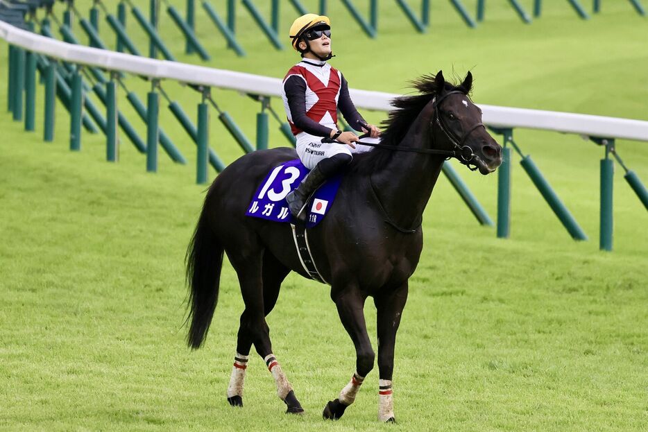 スプリンターズS・ルガルと西村淳也騎手