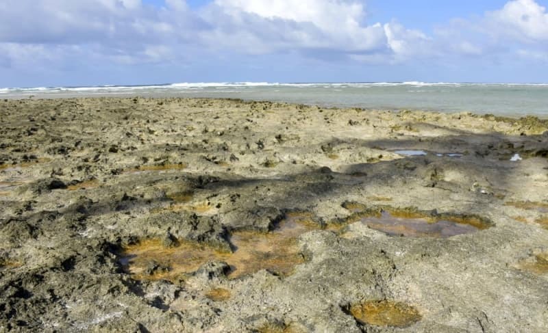 波の高い外海に面したマーシャル諸島・エジット島の海岸。かつて白い砂浜が広がっていたが、深刻化する高波に砂がさらわれ、サンゴ礁がむき出しになっている＝３月（共同）