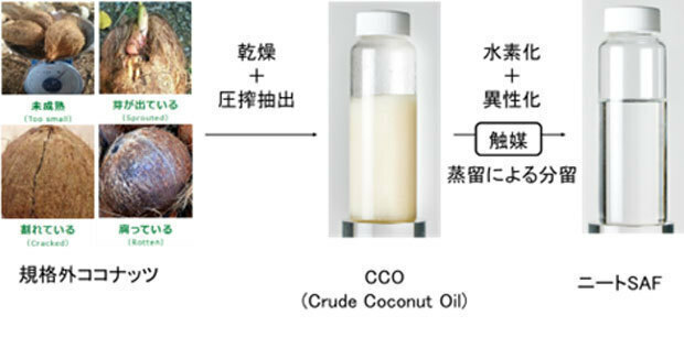 食用に適さないココナツからニートＳＡＦを製造する工程のイメージ（ＮＥＤＯ提供）