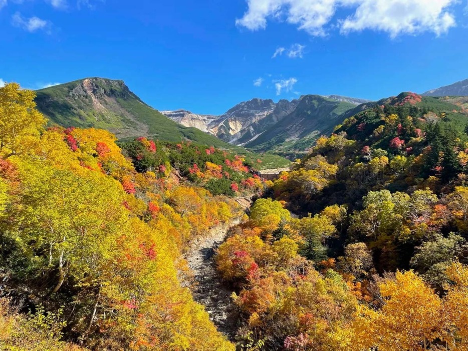 十勝岳温泉 湯元 凌雲閣の紅葉