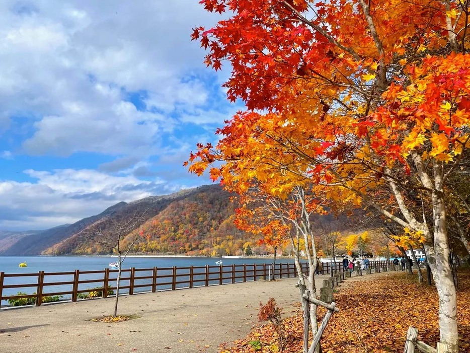 支笏湖温泉の紅葉