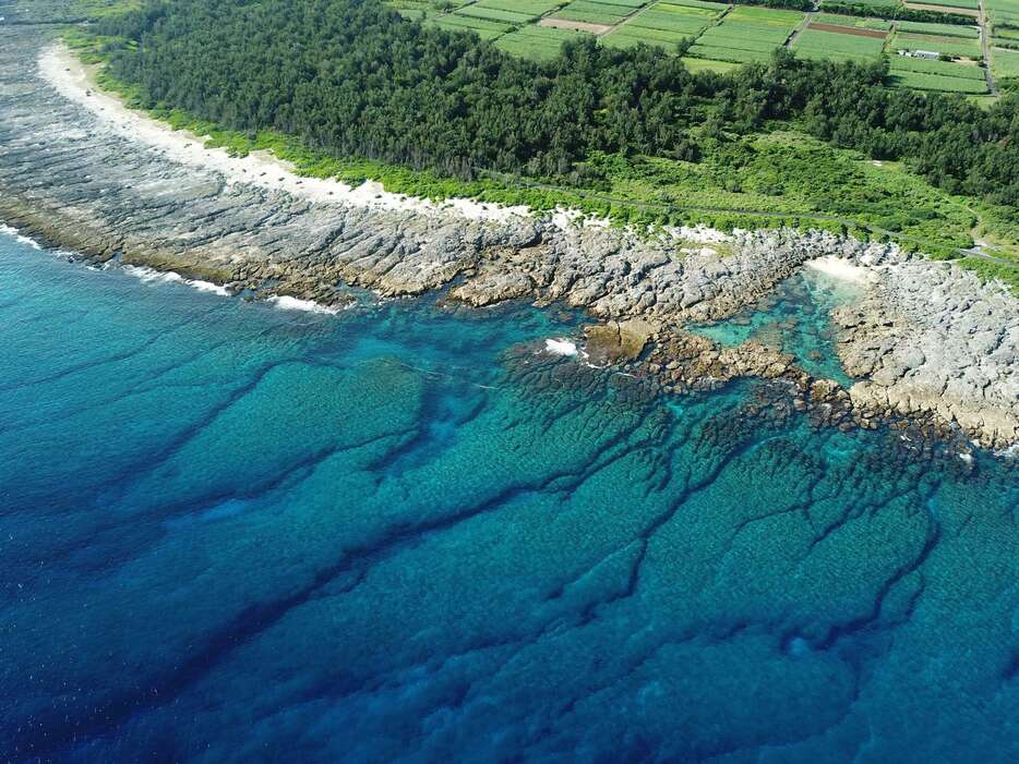 「世界地質遺産１００選」に認定された喜界島のサンゴ礁段丘（喜界島サンゴ礁科学研究所提供）