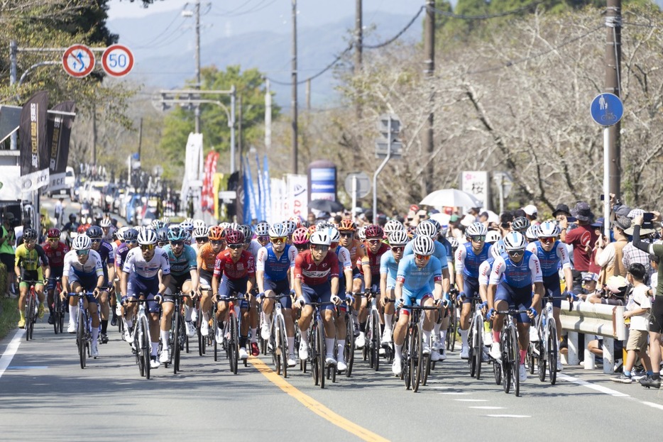 写真：Bicycle Club