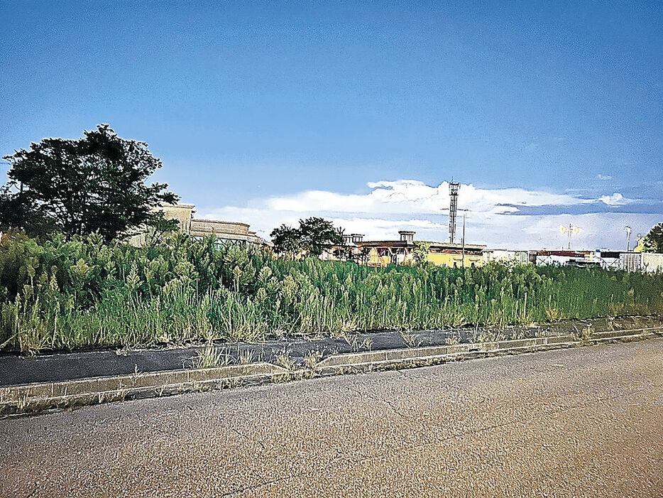 ホテルの建設予定地＝射水市鏡宮