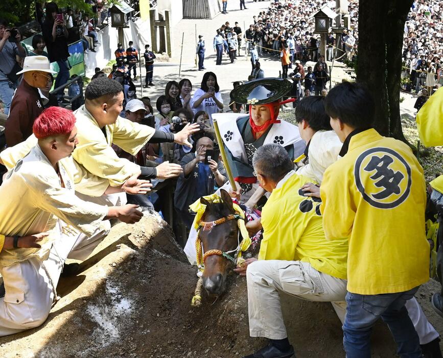 2023年5月に行われた多度大社の「上げ馬神事」で、坂道を駆け上がり土壁越えに挑戦する馬＝三重県桑名市