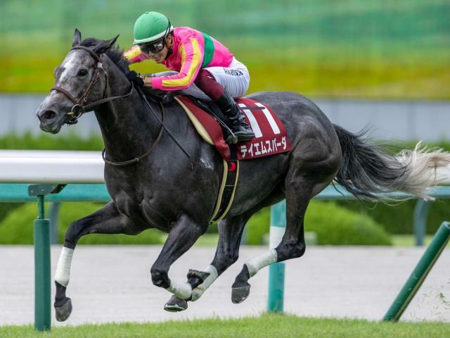 昨年のセントウルSを逃げ切ったテイエムスパーダ(昨年9月撮影、ユーザー提供：おうどんさん)