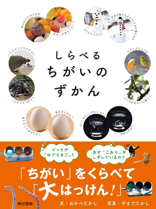 『しらべるちがいのずかん』（東京書籍）