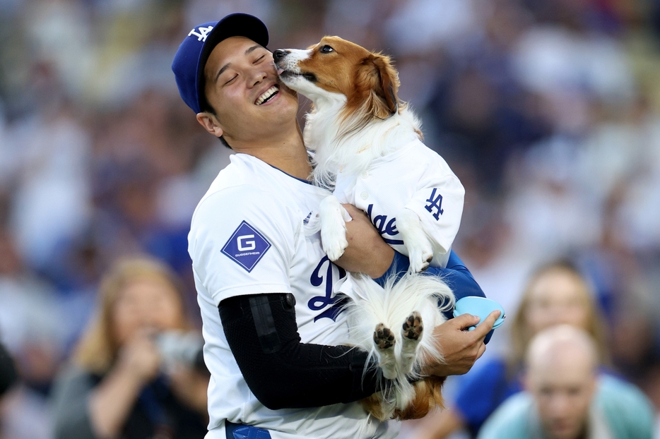 大谷の愛犬デコピンが異例の扱いを受けた(C)Getty Images