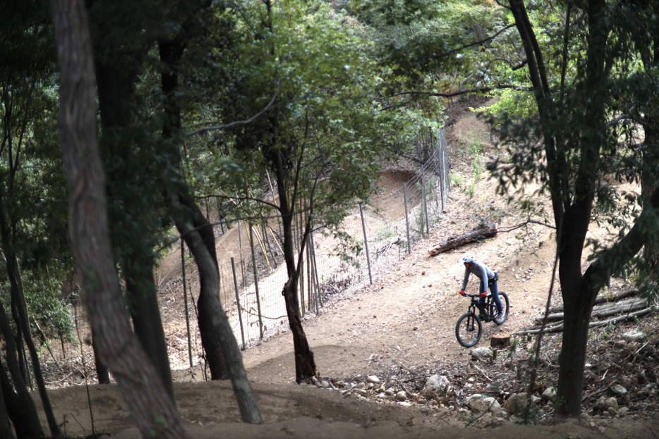 写真：Bicycle Club