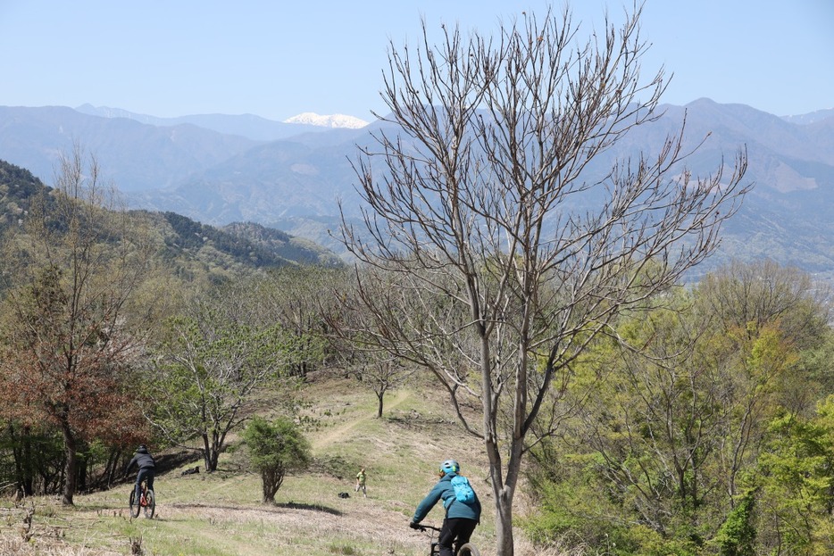 写真：Bicycle Club