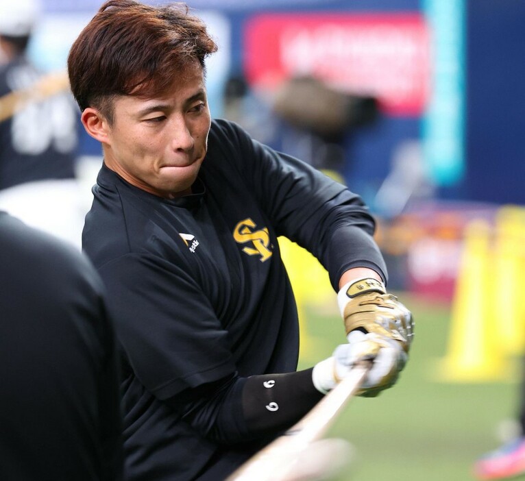 打撃練習をする野村勇（撮影・早浪章弘）