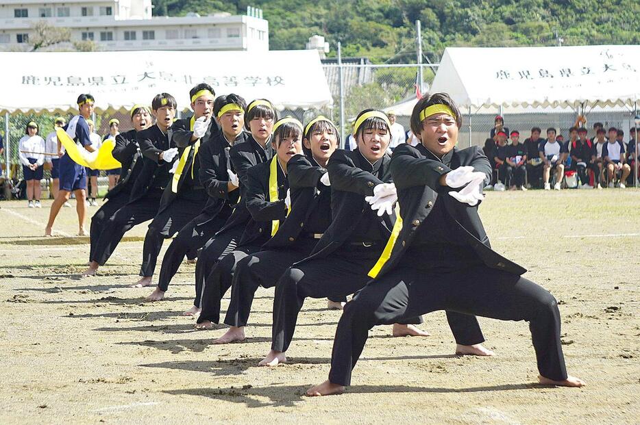 優勝した黄組（3年生）の応援団演舞＝7日、奄美市笠利町