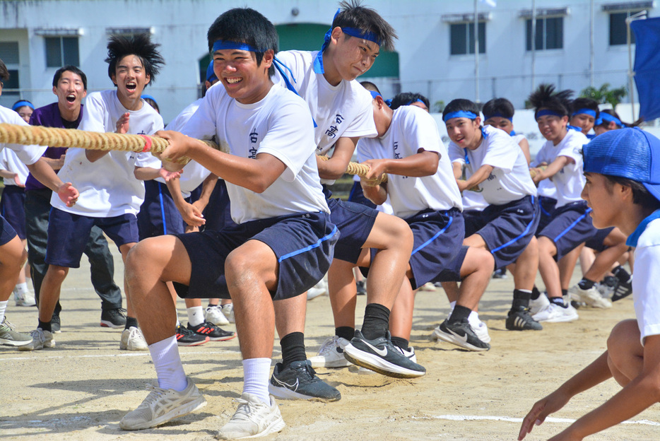 全力で綱を引く1年生＝7日、瀬戸内町古仁屋