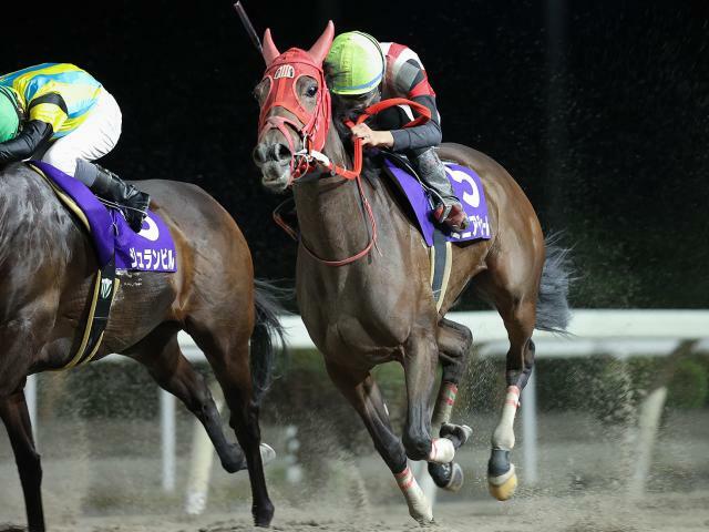 ヴィーナススプリントを制したミニアチュール(提供：岩手県競馬組合)