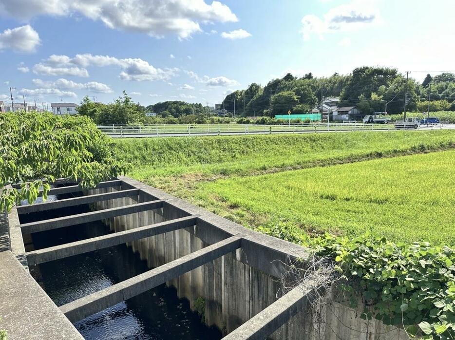 海上自衛隊・下総基地近くで高濃度のPFASが検出された水路（横山弓彦さん提供）