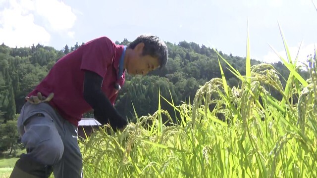 『大田ファーム』の大田剛之さん