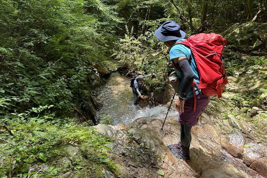 沢登りを満喫しながらの六甲最高峰登山