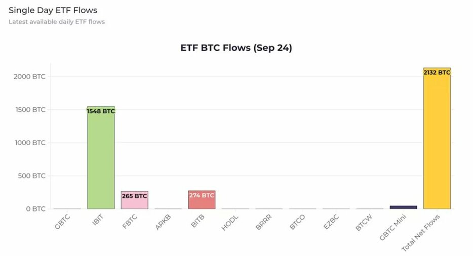 ビットコインETFへの流入量、1日の供給量の約5倍──供給不足の一因に