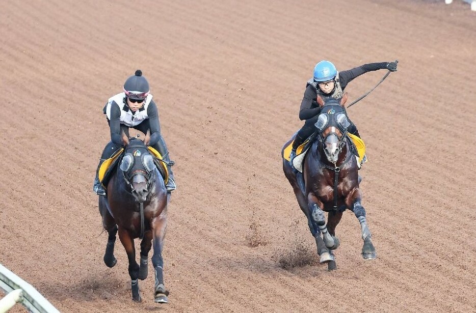 1年6ヶ月ぶりの前走を叩かれたロバートソンキー(右)が急浮上