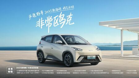 BYDは中国市場で「価格破壊」を率先して仕掛けてきた。写真は同社の低価格コンパクトEV「海鴎」（BYDのウェブサイトより）