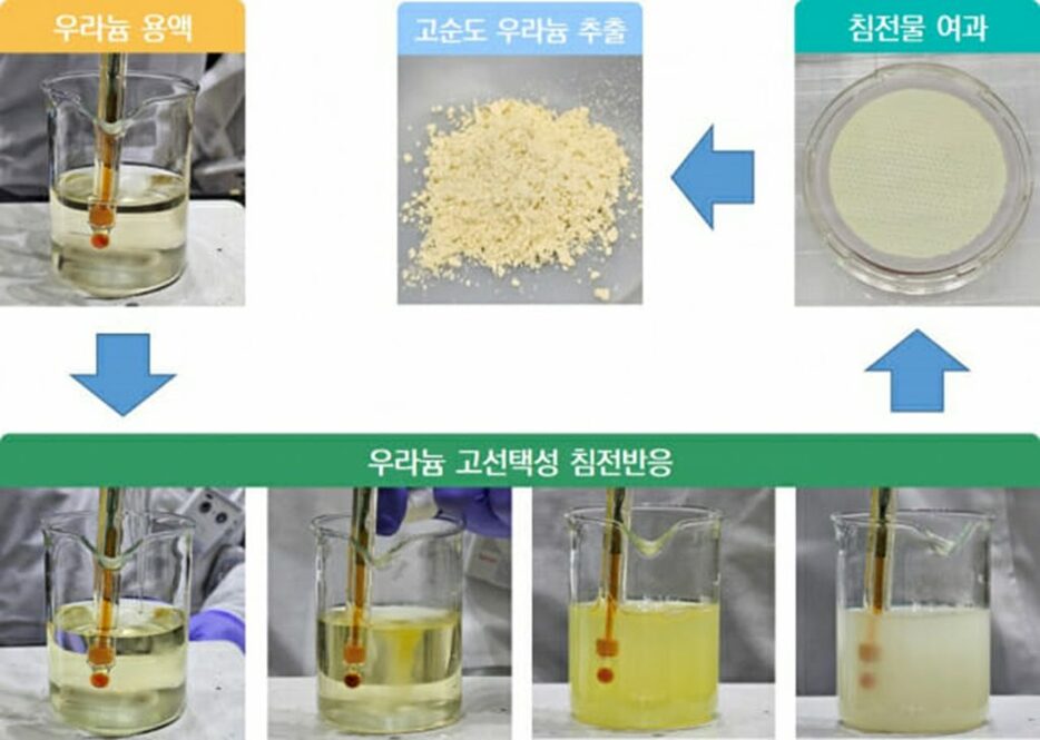 ウラン溶液から沈殿反応を通じて高純度ウランを抽出する過程を示した図＝韓国原子力研究院(c)KOREA WAVE