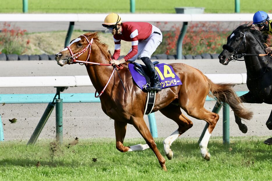 皐月賞・シンエンペラーと坂井瑠星騎手