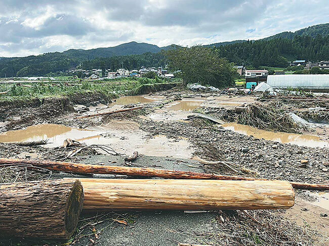 河川（左）が氾濫し、4棟の農業ハウスが流出した川沿いの農地。残った3棟（右）も濁流が入り、ミニトマトが全滅した（石川県輪島市長井町で＝池さん撮影）