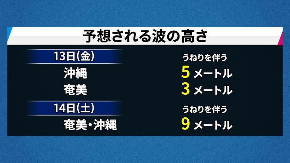 予想される波の高さ