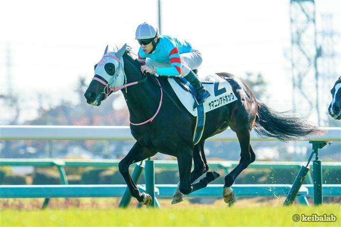 中山で2勝を挙げているヤマニンアドホック