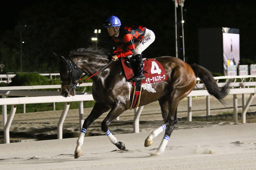 園田チャレンジC・イモータルスモークと大山龍太郎騎手 (C)兵庫県競馬組合