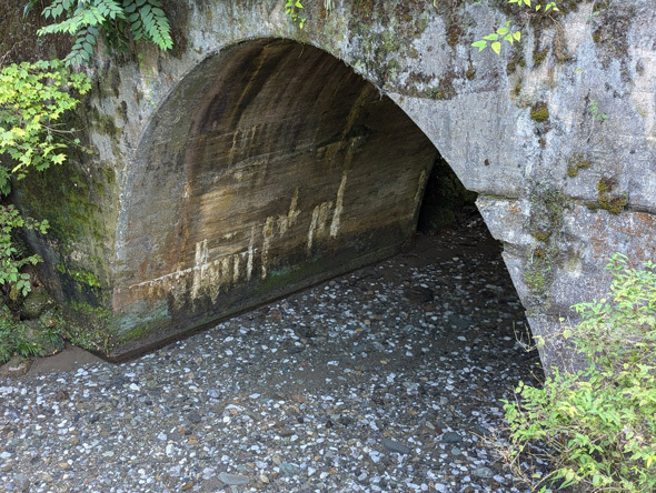 川の水が見えなすぎてびっくり