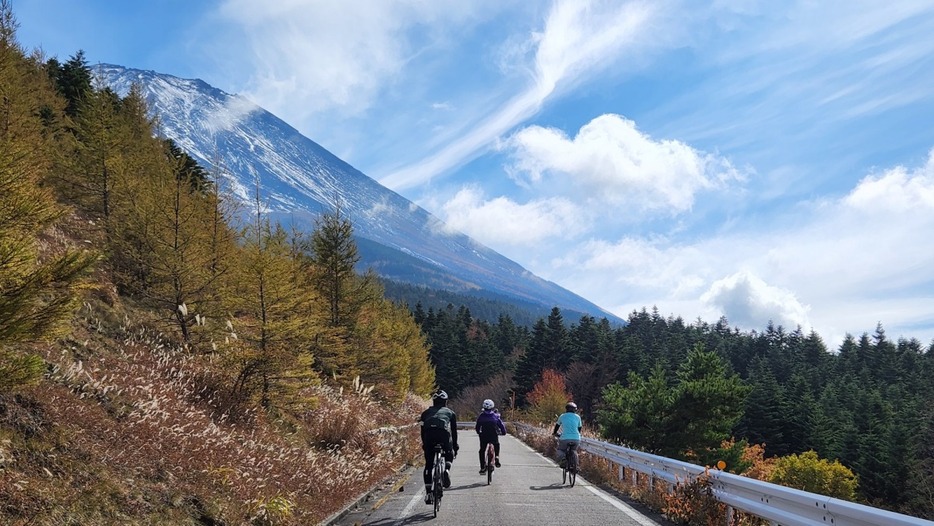 写真：Bicycle Club