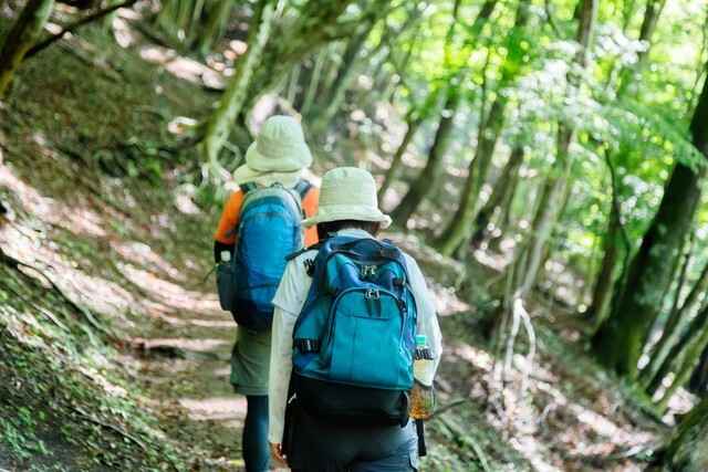 登山・ハイキング愛好者が推す低山は？　※画像はイメージです（taka/stock.adobe.com）