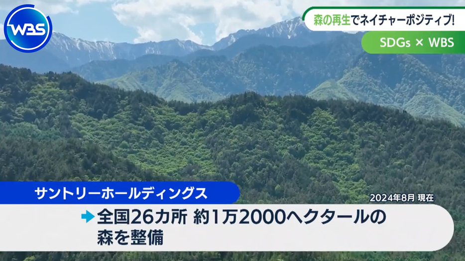 サントリーHDでは20年以上前から森の再生に取り組む