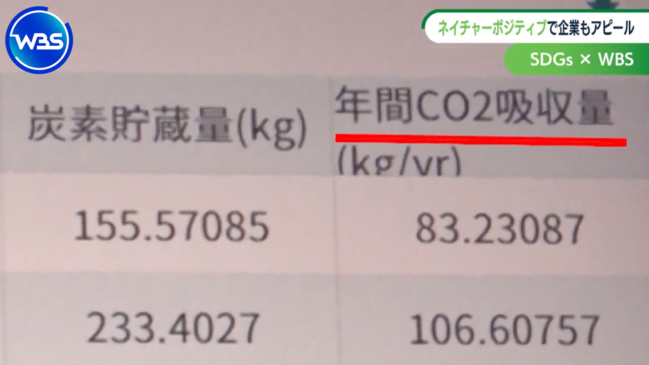 企業向けに開発した「バイオーム」のアプリでは、年間の二酸化炭素の吸収量も算出