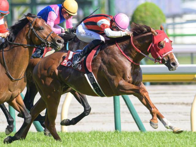 GI初制覇を目指すウインマーベル(今年5月撮影、ユーザー提供：りりさん)