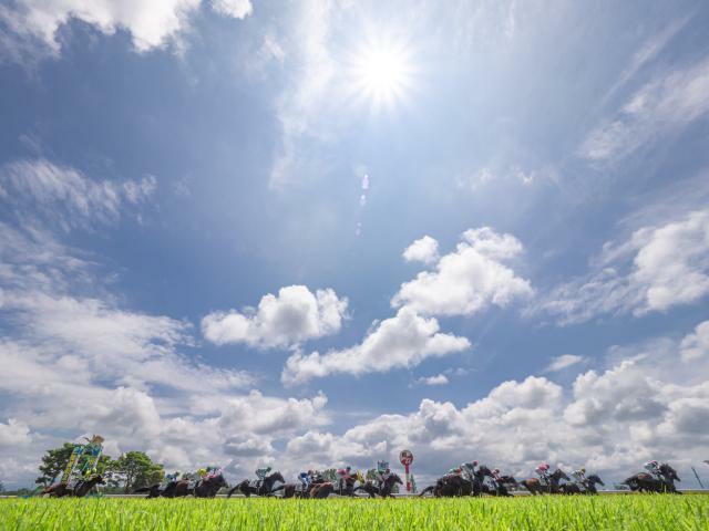 太陽が照り付ける8月の新潟競馬場(撮影：下野雄規)