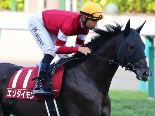 連勝を目指すエゾダイモン(今年8月撮影、ユーザー提供：ほてらみさん)