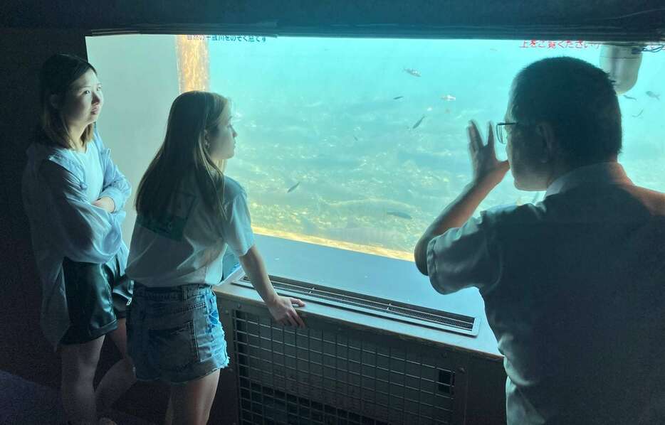 水族館地下2階の水中観察ゾーン。千歳川を遡上するサケをガラス越しに見ることができる＝北海道千歳市（坂本隆浩撮影）