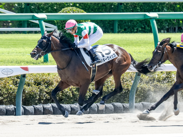 中山4R新馬戦を制したバギーウィップ(撮影：下野雄規)