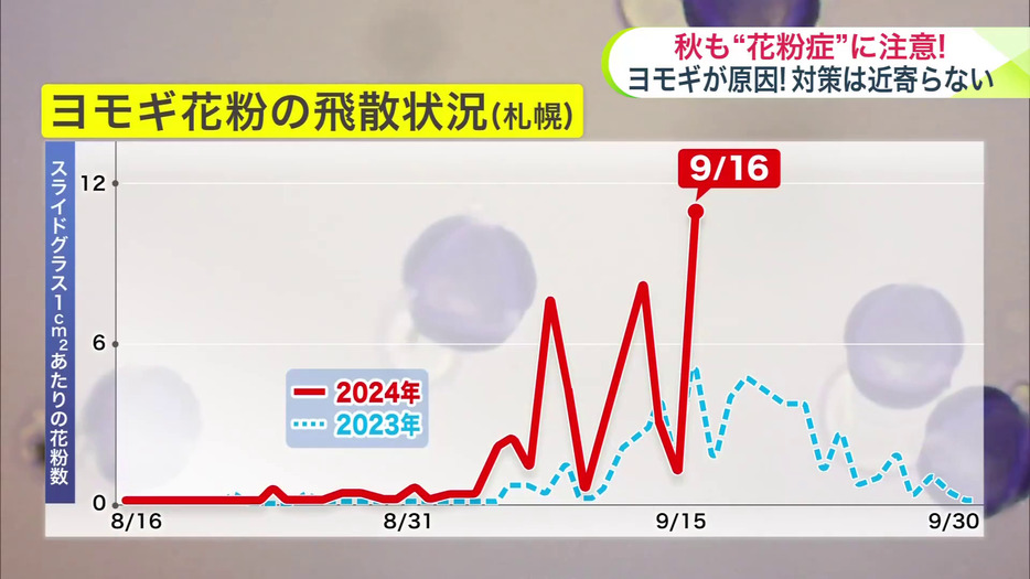 ヨモギ花粉の飛散状況（札幌）