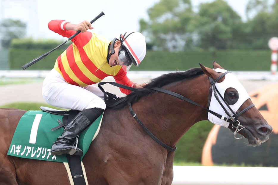 ハギノアレグリアスが重賞３勝目