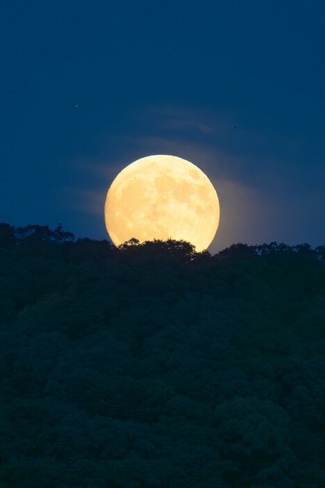 京都の夜空に浮かぶ中秋の名月（提供：京都大学OASES/PONCOTSプロジェクトさん）