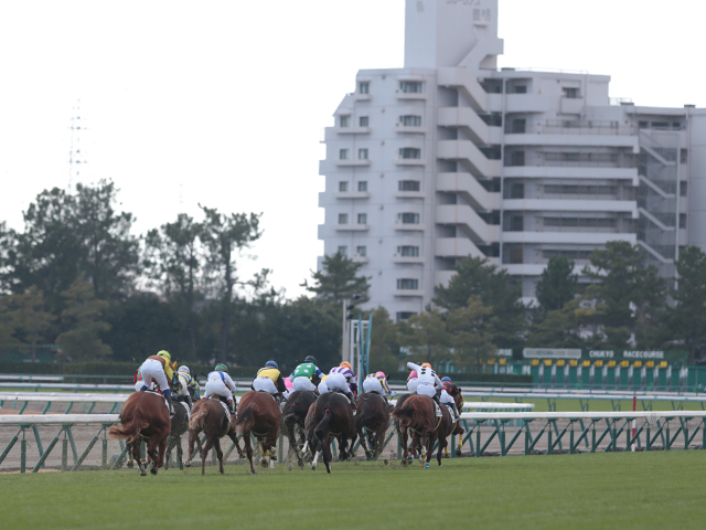 ローズSが行われた中京競馬場(c)netkeiba