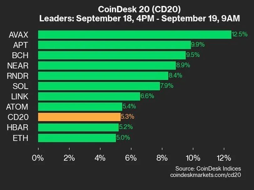 20銘柄すべて上昇、CD20は+5.3％：CoinDesk 20 パフォーマンスアップデート